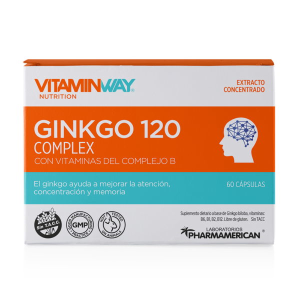 ginko120