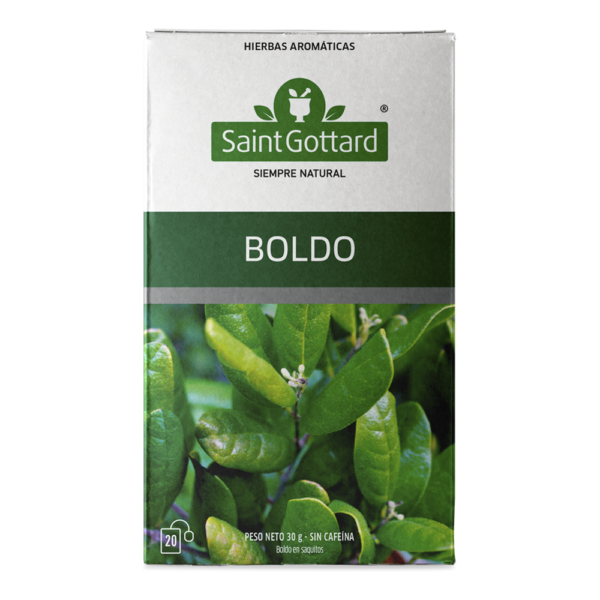 boldo-frente