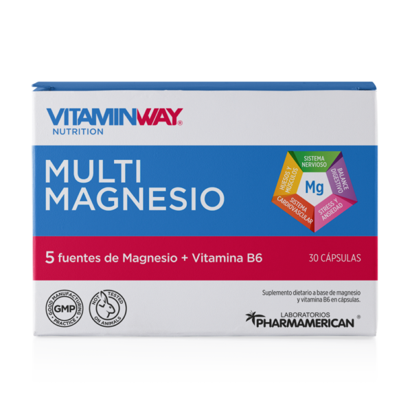 multimagnesio