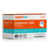 Ginkgo120x60