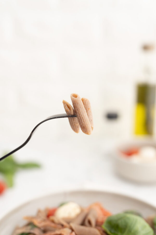 FIDEOS PENNE DE HARINA INTEGRAL - EMILIA